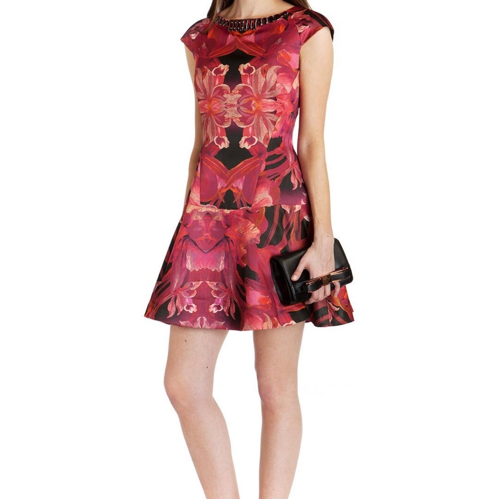 Ted Baker Dress